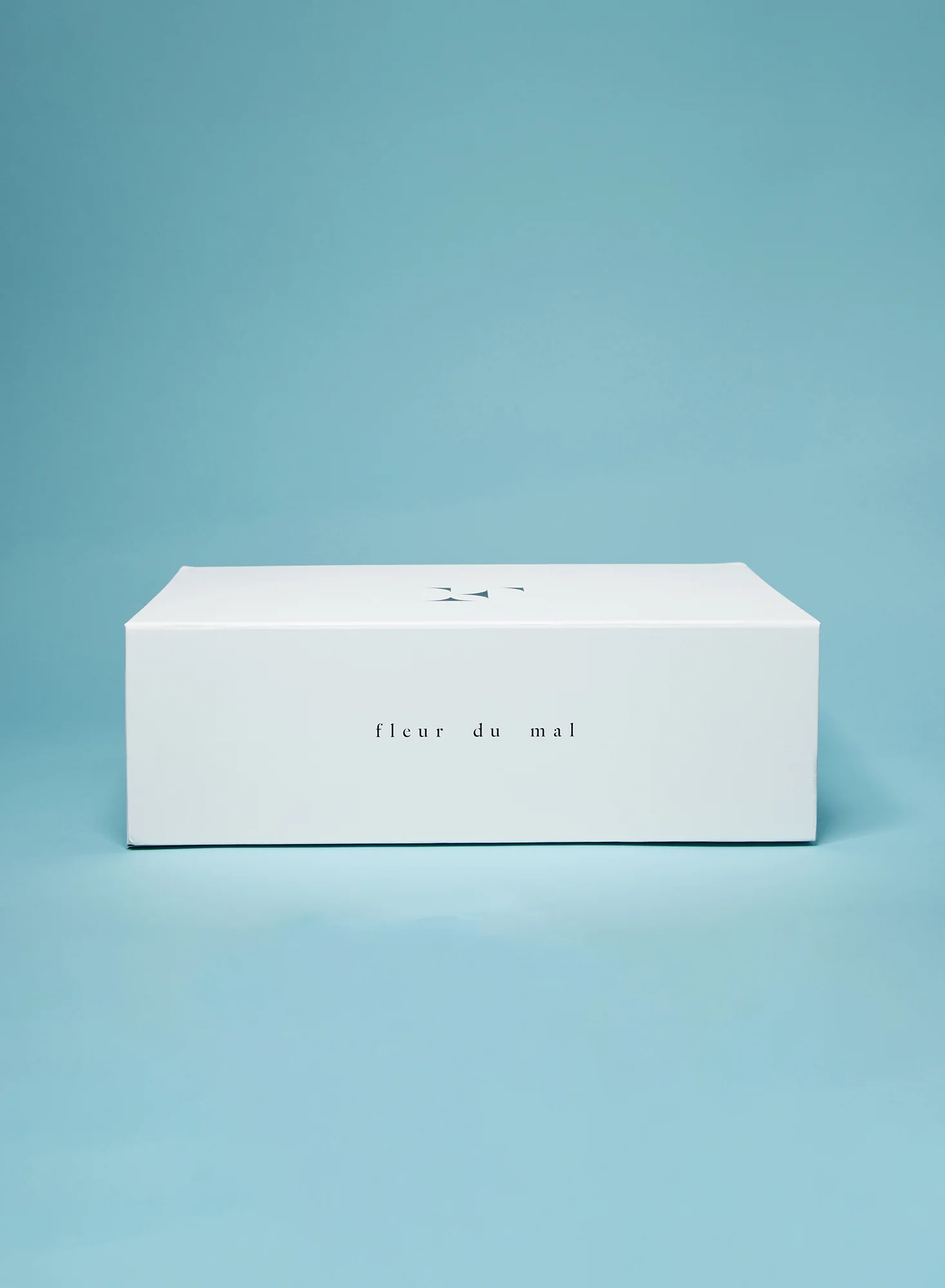 Large Gift Box - Image 3