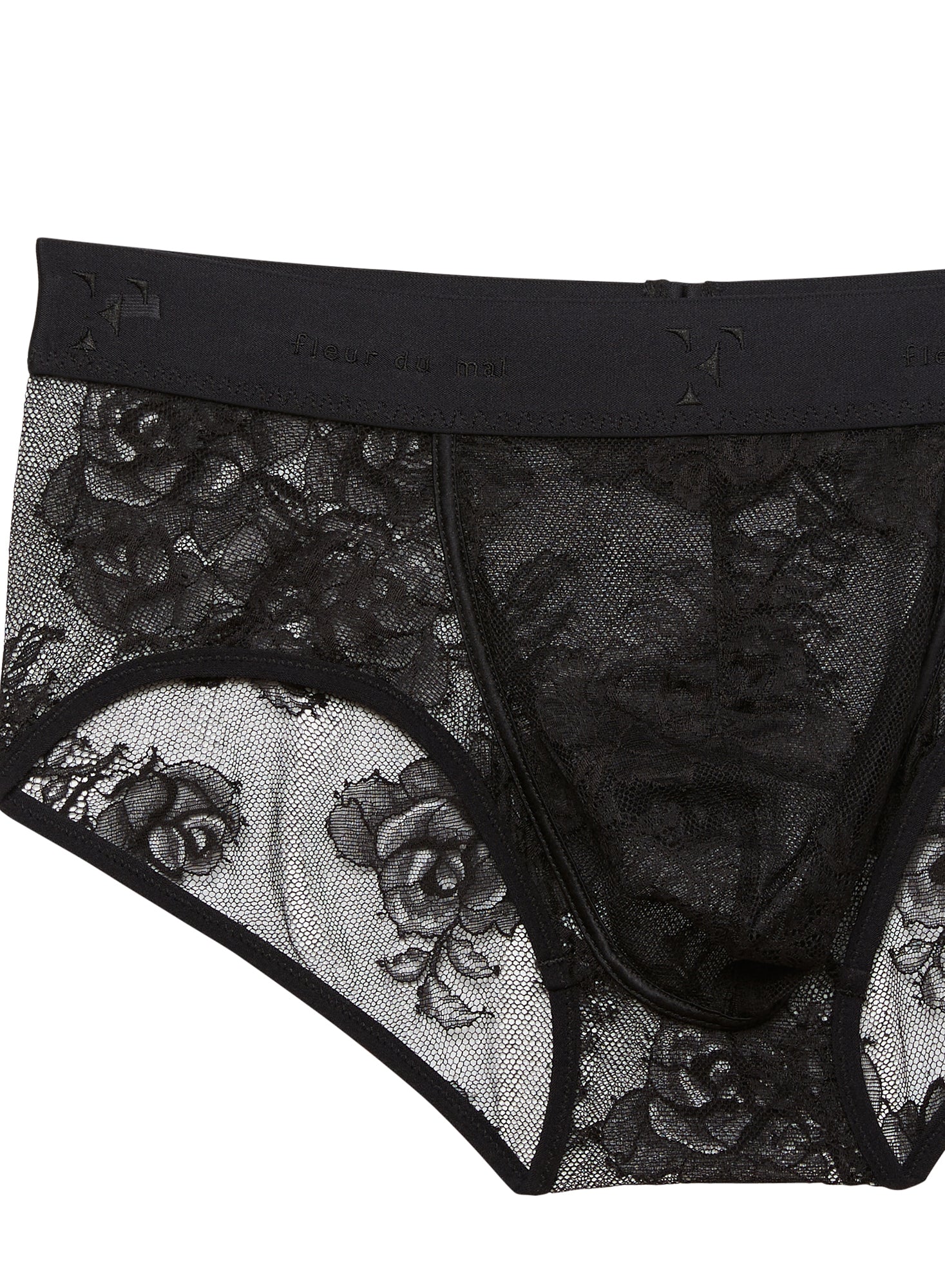 Men's Bouquet Lace Brief - Image 4
